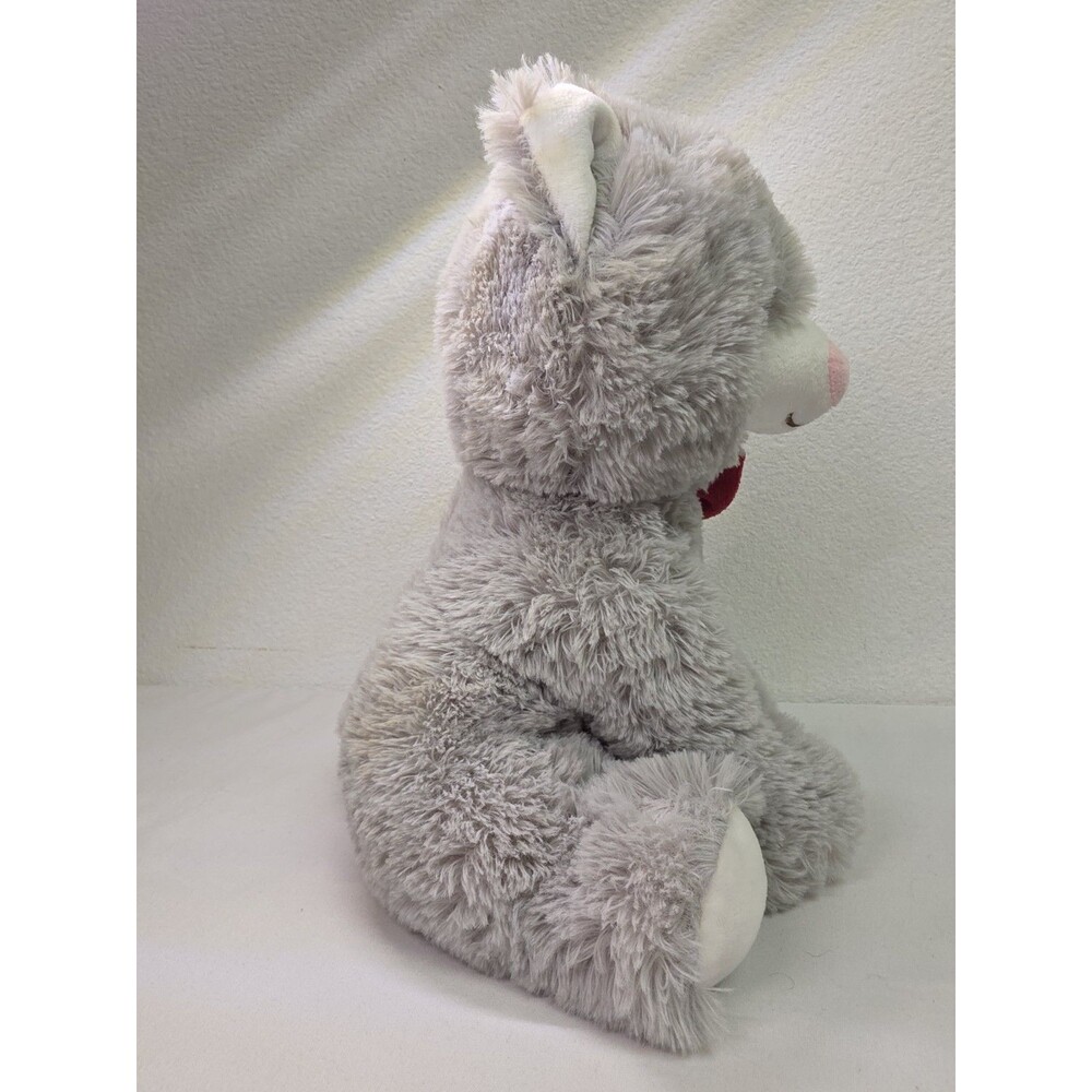 New Petsmart Lucky The Cat Plush Dog Toy Squeaks 2022 Collectible read - Picture 4 of 8
